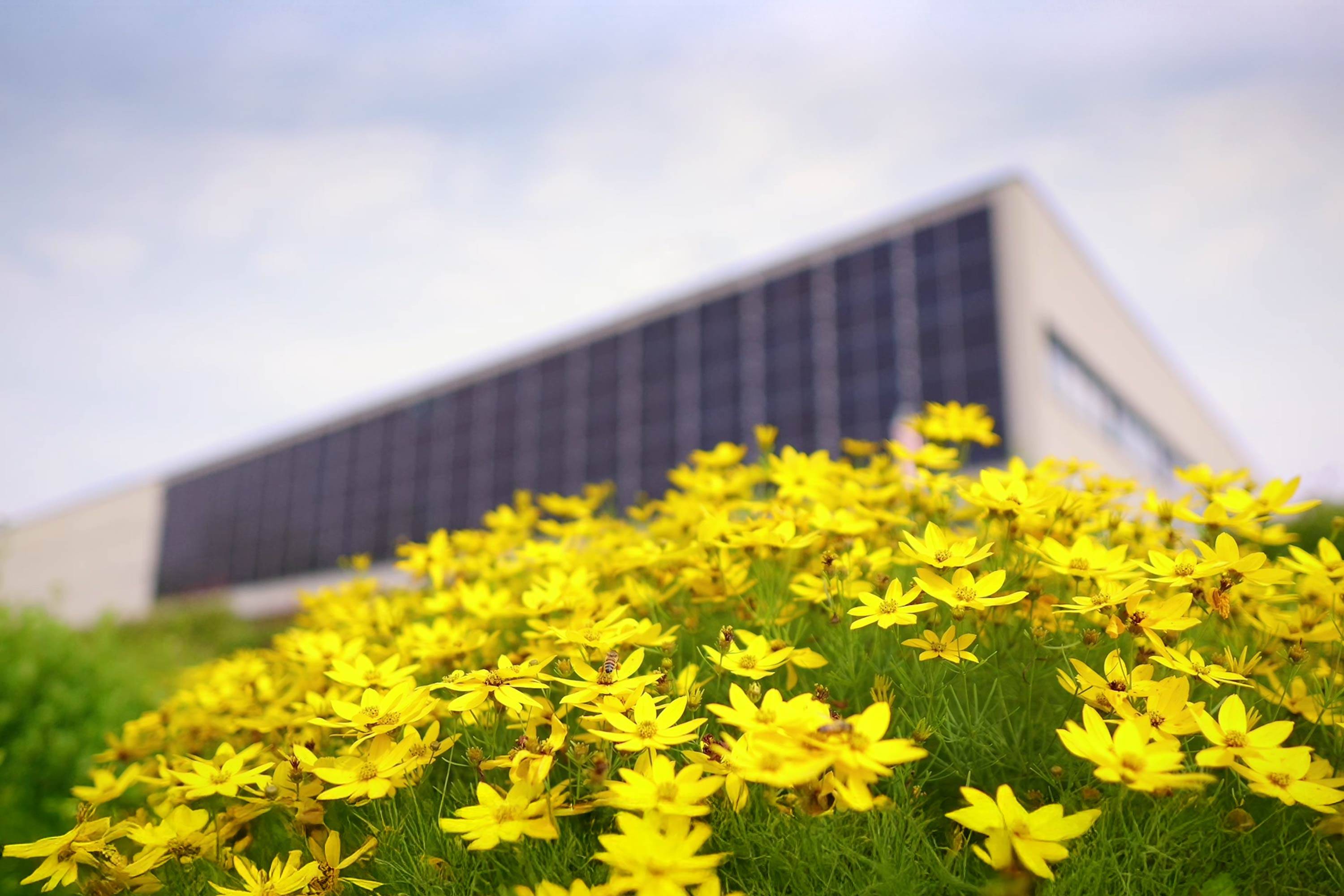 Colours-Company-Tessuti-Stampa-Lusso-Como-Tessuti-sostenibilità